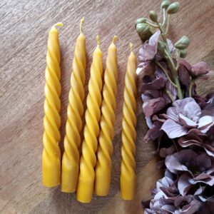 Świecznikowa stożkowa kręcona