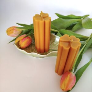 Koniczyna czterolistna