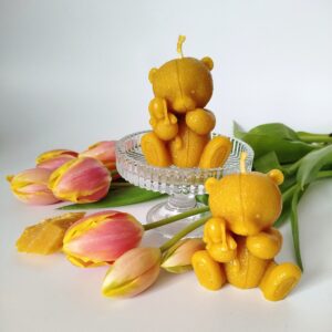 Misio z małym misiem